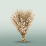 FeedSync:wholesale:b370e21b0106e248fc2b1c85cd8049e89d7d1496