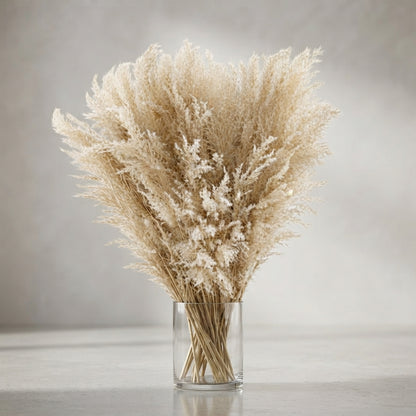 FeedSync:wholesale:ab96455515bdee9e9a3ed29422cd8f035d6baab8