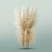 FeedSync:wholesale:14e14c2c52760092b6e751271d6ad6e7af3f8e8e