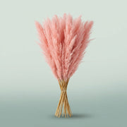 FeedSync:wholesale:99a577a0ed0cde8de0f35a3c597e7d696713b8d0