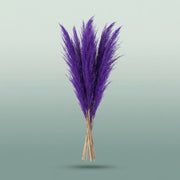 FeedSync:wholesale:df5b0876b8a7125bb8ebcbf896dff86c6ffae96e