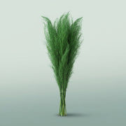 FeedSync:wholesale:72433942000b242f5cc0faecea22904c983ef7d7