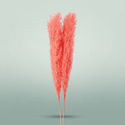 FeedSync:wholesale:5f22465ab32fd3926ba728cb14b7ea096860174c