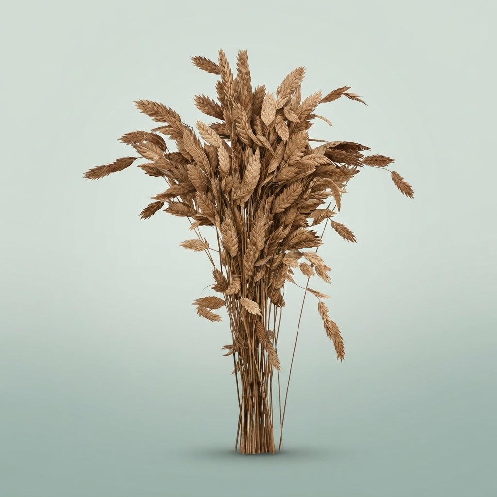 FeedSync:wholesale:72e9b1aa8b4d791f93c817afe0ce84606f967195