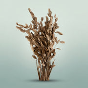 FeedSync:wholesale:2f275ca58c52dc9a322a7ce5f403cee4ce305090