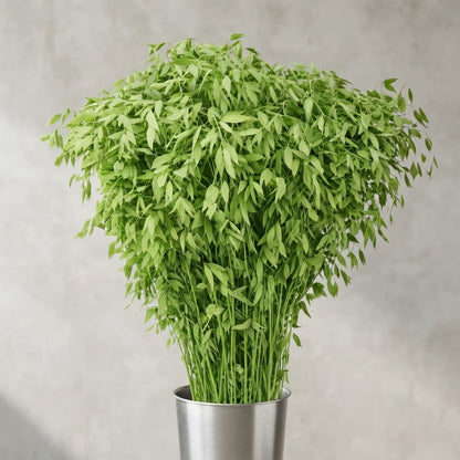 FeedSync:wholesale:631a5c1158e3d4b2978d030d8e91be922d38ea83