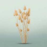 FeedSync:wholesale:a36f7f1409c5dea37a85636d24581e35771d579b