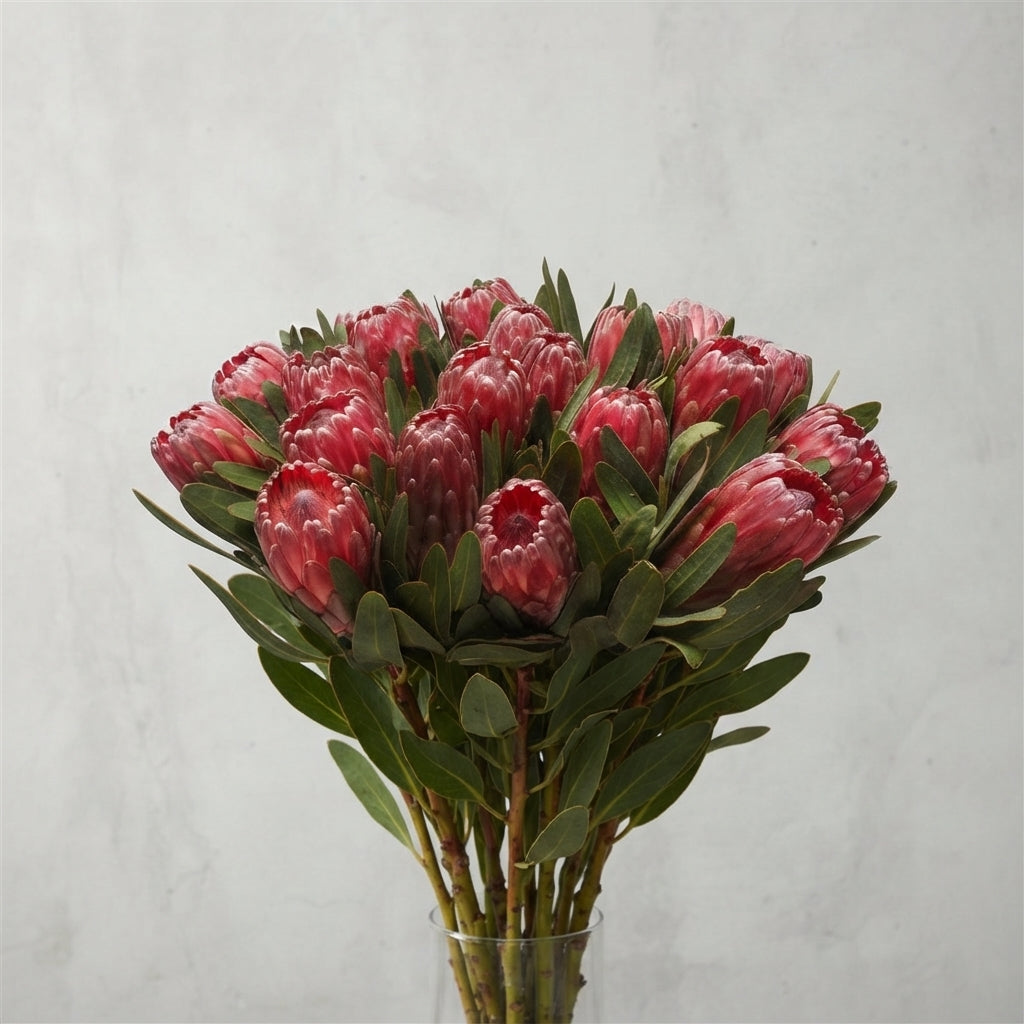 FeedSync:wholesale:f963424bd9df8c8dadc8b22c39dffdbcb41ab704