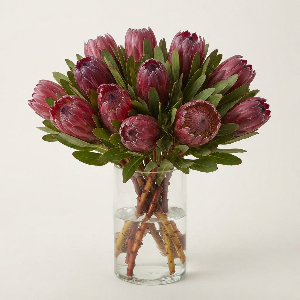FeedSync:wholesale:59c2627294d13641c13207bc5988c547b1726b0c