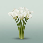 FeedSync:wholesale:76e89326e80b14bee3f973cb47d539b02371c56c