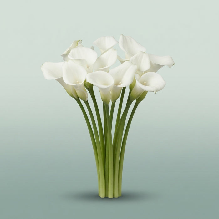 FeedSync:wholesale:76e89326e80b14bee3f973cb47d539b02371c56c