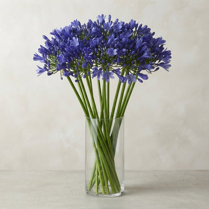 FeedSync:wholesale:2c7fc22af28b5c027870d302d3a40d3cc1177018