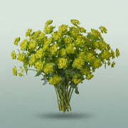 FeedSync:wholesale:c82fce67671d9949ac8b62ee965fad0212a839f0