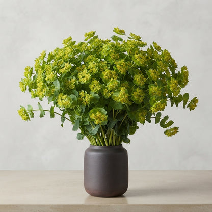 FeedSync:wholesale:6c899101b69c8daab9e1517734938f5e7669b746
