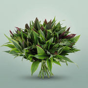 FeedSync:wholesale:4511bf340ef330ae5382947a43ac0360d9723824