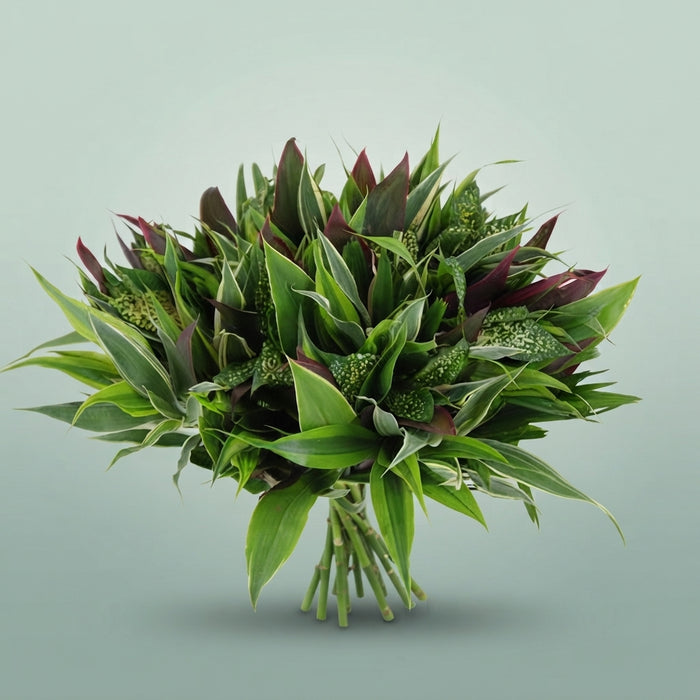 FeedSync:wholesale:4511bf340ef330ae5382947a43ac0360d9723824