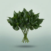 FeedSync:wholesale:1dd4fb7d3c1525df98c36348155f63b76fd6a83d