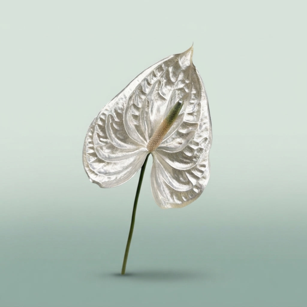 FeedSync:wholesale:191c4d39e8edcdcdc4cfe65e029779be5ac8568b