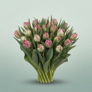 FeedSync:wholesale:3303094f4b4ffc4487bedac817d61f2320e1471f