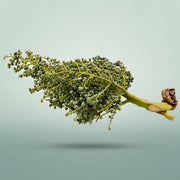 FeedSync:wholesale:3e6317293ea756b1553894ca2890bc8123178d79