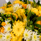 10 Stem Yellow Bouquet (10 Bunches)