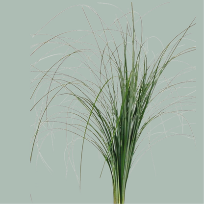 GR Mixed Foliage Box