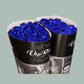 Rose Vendela Dyed Blue (20 Stems)
