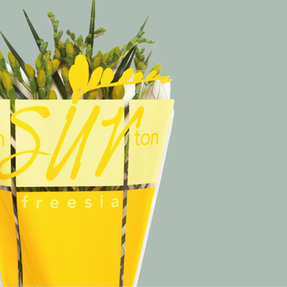 Freesia Ton sur Ton Mix