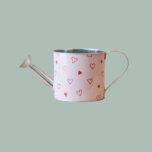 Heart Tin Watering Can (Box of 12)
