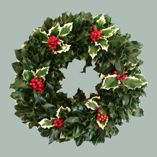 Holly Wreath (5 Pack)