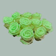 Rose - Rosa - Glow In The Dark
