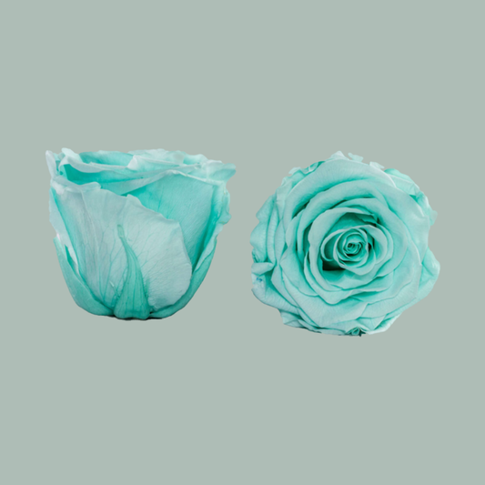 Preserved Roses Cyan (3 Stems)