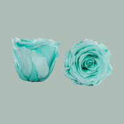 Preserved Roses Cyan (3 Stems)