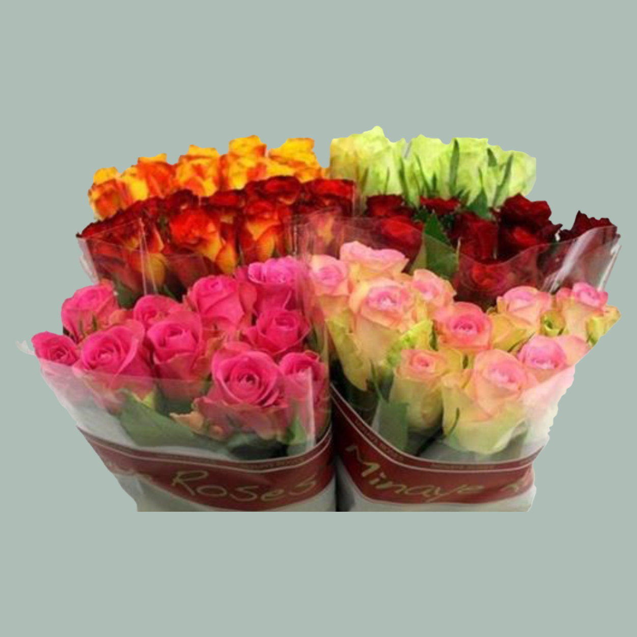 Rose Mixed 40cm (100 Stems)