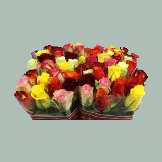 Rose Mixed In Bunch 35cm (60 Stems)