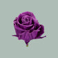 Rose Vendela Wax Purple (20 Stems)