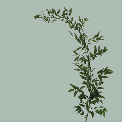 GR Mixed Foliage Box