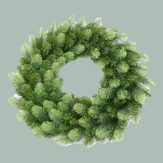 Spruce Wreath (5 Pack)